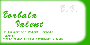 borbala valent business card