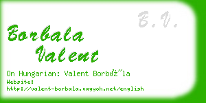 borbala valent business card